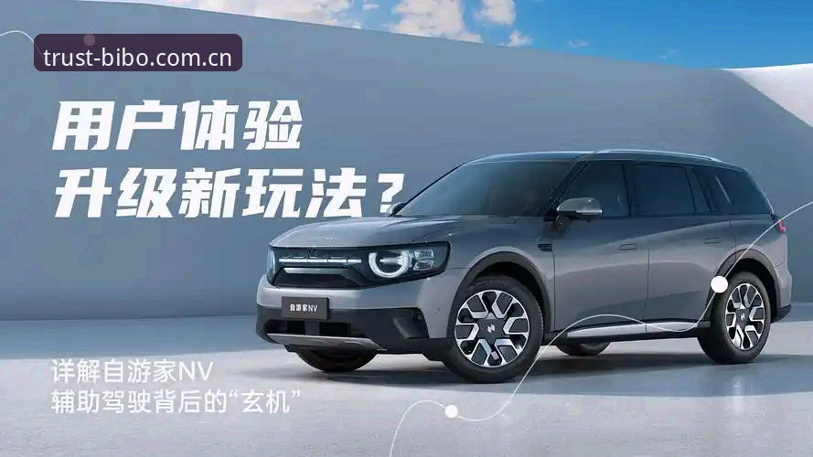 必博体育平台对比 深度揭秘:必博体育平台对比背后的技术真相与用户体验差异
